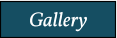 Gallery Gallery