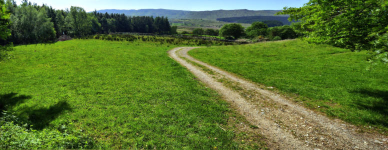 Scenic farm walks in connemara