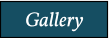 Gallery Gallery